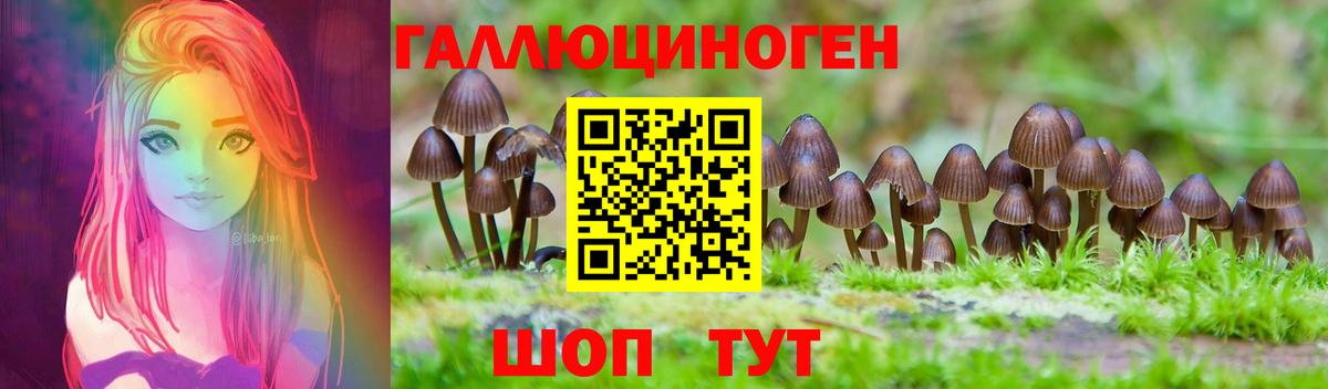 Галлюциногенные грибы Cubensis  Вход с VPN  где купить   Южноуральск  Галлюциногенные грибы Psilocybe 